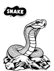 152 snake illustration model for coloring