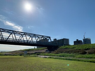 江戸川流域の景色