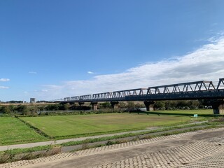 Fototapeta premium 江戸川流域の景色