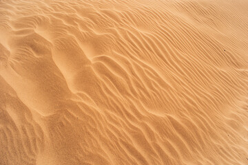 Dunes on the beach on Lanzarote Canary Island
