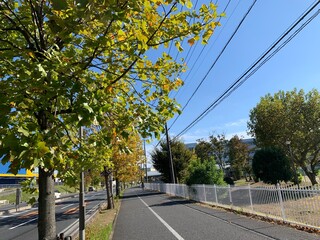 三郷市内の景色