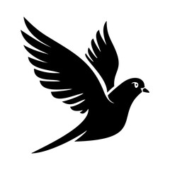 dove on white