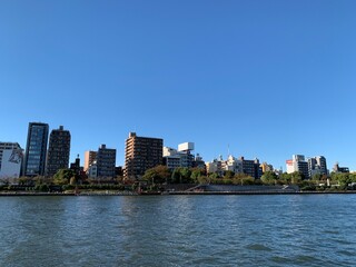 Obraz premium 隅田川の河川敷の景色