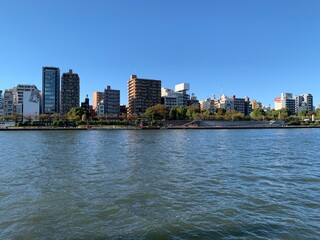 隅田川の河川敷の景色