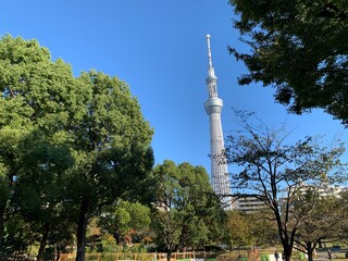 Obraz premium 墨田区立隅田公園の景色