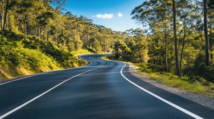 A winding road through lush greenery under a clear blue sky.