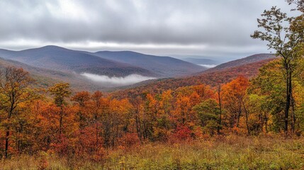 Fototapeta premium A scenic view of autumn foliage in rolling hills, with mist hovering in the valleys.