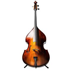 Classic Double Bass Instrument in Studio Lighting