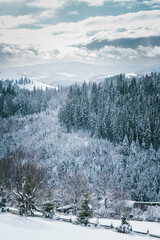 Snow-Covered Forested Hills and Mountainous Landscape on a Winter Day