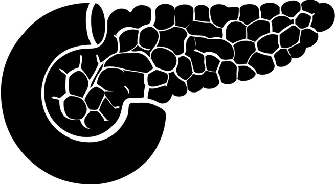 pancreas