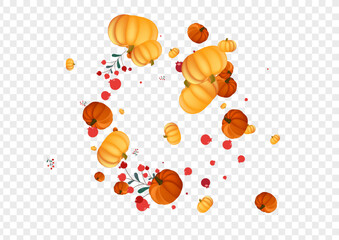 Yellow Pumpkin Background Transparent Vector. Burgundy Farm Frame. Red Rowan Floral Template. Leaves Wallpaper. Halloween Illustration.