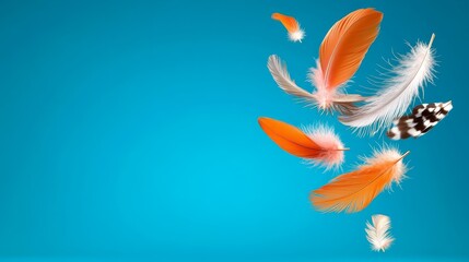 Colorful Feathers Falling on Blue Background Soft Fluffy Light Design Element