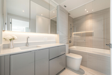 Interior design and decoration of a nice and modern bathroom