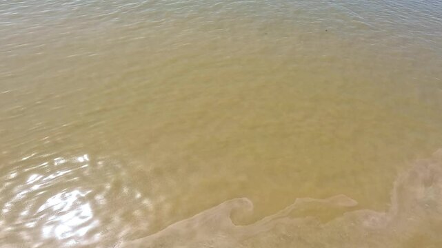 Gentle Waves on Blaye Shoreline