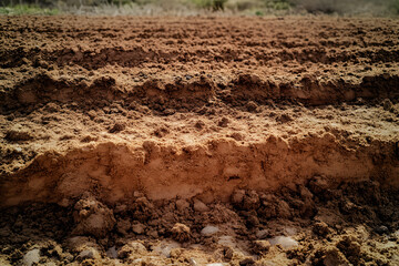 Agricultural preparation of soil for planting at ploughed field