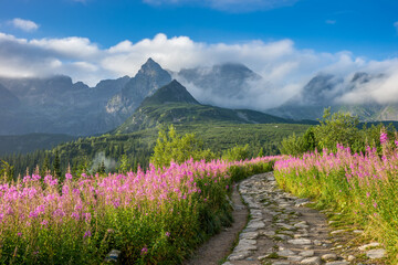 Hala Gąsienicowa, Tatry, Pejzaż Górski