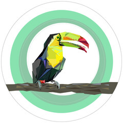 Vektorgrafik Tukan - Sinnbild für den Regenwald und seine Bedrohung durch Abholzung © sunday pictures