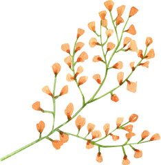 Handdrawn Watercolor Cute little orange flowers for bouquet