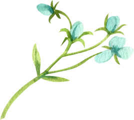 Handdrawn Watercolor Small blue flower on a stem