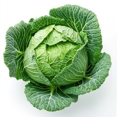 Fresh Green Cabbage