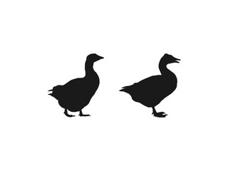 black duck, Collection of Goose silhouettes set. Goose Silhouette Vector Illustration Wildlife Clipart. Simple black and white flat design. Black icons isolated on white background.