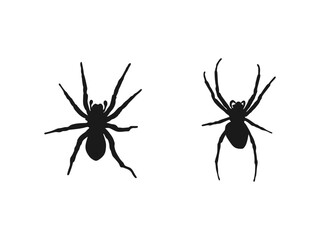 Black Spider Silhouette Vector Illustration. Set of black spider icons. Scary Halloween icon, symbol horror, animal arachnid, creepy dangerous. Black icons of spiders isolated on white background.