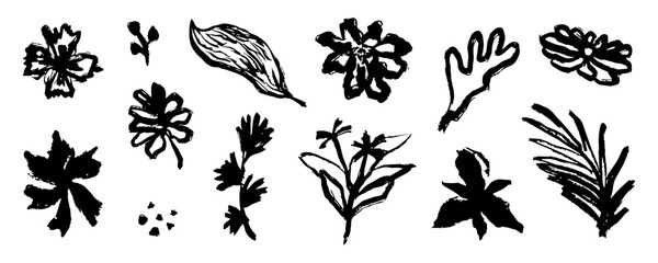 Hand drawn flower and leaf. Doodle Ink floral and plant abstract illustration. Sketch nature simple daisy, flower, leaves, graphic elements