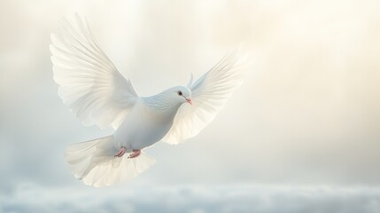 Obraz premium White Dove in Flight