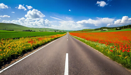 Naklejka premium Una carretera asfaltada atravesando un paisaje pradera durante la primavera con coloridas flores
