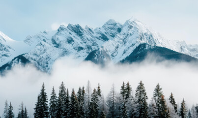 Fototapeta premium The mountains are covered in snow and the trees are bare