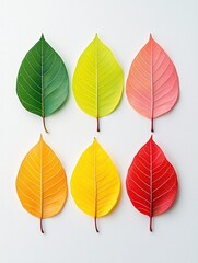 Obraz premium A close-up of autumn leaves with vibrant colors, each vein and texture defined, set against a muted background offering copy space.
