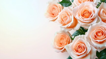 Naklejka premium Soft Peach Floral Watercolor with Roses Arrangement