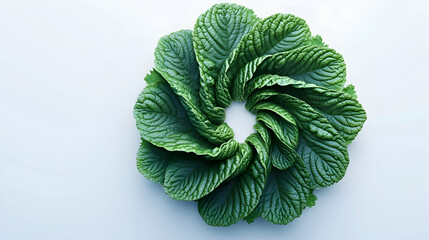Fototapeta premium Green leaves arranged in a circle on a white background.