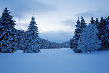 Naklejka premium 눈 덮인 겨울 숲 풍경, AI 생성 