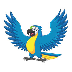 Cartoon macaw bird isolated on white background
