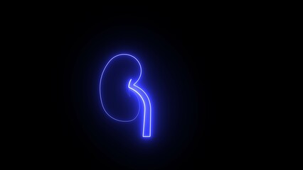 Neon kidney icon. Illustration of neon human lung and kidney icon.  A neon kidney diagram symbolizes this renal system.