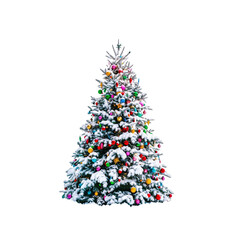 Christmas tree, against a white background for clean cutout