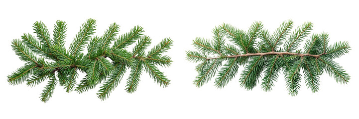 Obraz premium set of A Fir tree branches isolated Christmas green pine branches on transparent background 