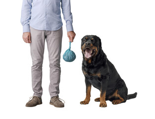 Dog owner holding a full poop bag