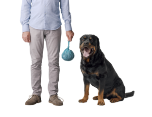 Dog owner holding a full poop bag