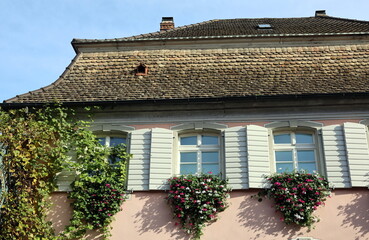 Rosa Altbau in der Mittelstadt von Burkheim