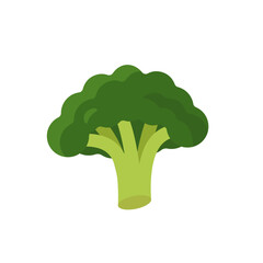 Broccoli, isolated flat illustration in transparent background
