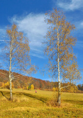Obraz premium Autumn landscape of the Low Beskid mountains, near Wysowa Zdroj, Lesser Poland. Recreation,hiking, bicycle trips, abandoned villages of Lemkos, wooden orthodox churches.