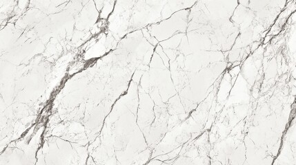 Obraz premium Close-up view of elegant grey and white marble with intricate veining patterns.
