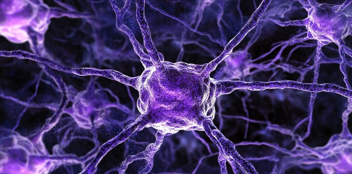 
Vision  of the human neural network, with purple color, brain cells