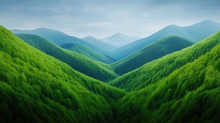 Naklejka premium Lush green hills stretch into the distance under a serene sky, AI