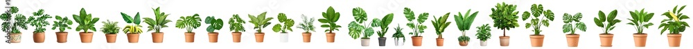 Poster an isolated assortment of beautiful plants in ceramic pots on a transparent background. 3d rendering