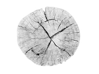 White Wood shape in cross section isolated with a beautiful texture.