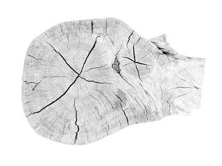 White Wood shape in cross section isolated with a beautiful texture.