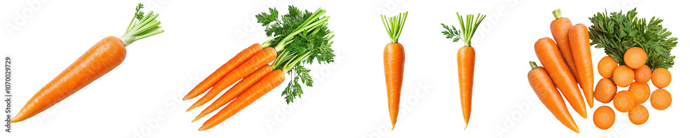 Poster isolated carrot with full depth of field on a white background